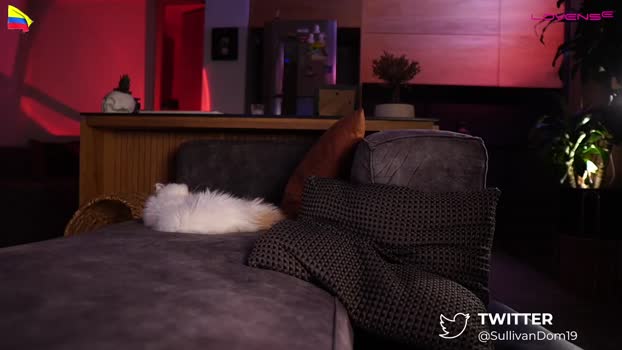 dominic_sullivan1 02-05-2025 video yummy