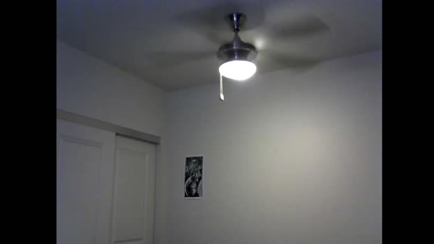 drtricks_666 02-05-2025 video nasty