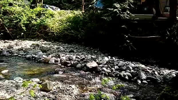 info_chat 01-05-2025 video play