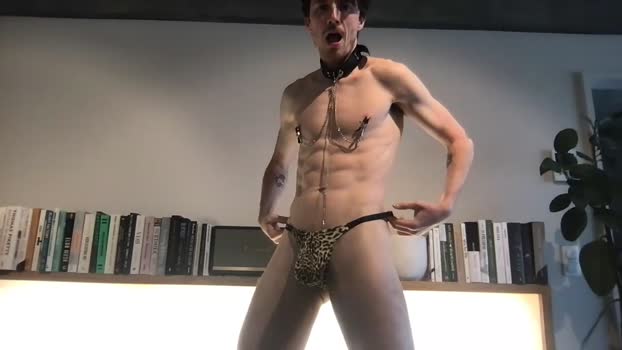 faviken 03-05-2025 video horny