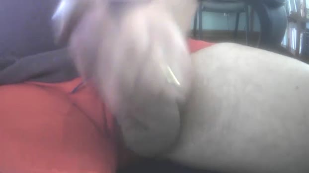 il_undercover 03-05-2025 video ass