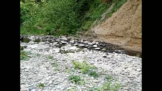 info_chat 02-05-2025 video striptease