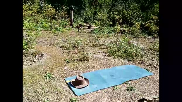 info_chat 03-05-2025 video love