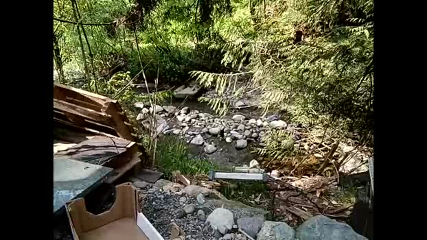 info_chat 04-05-2025 video jerking