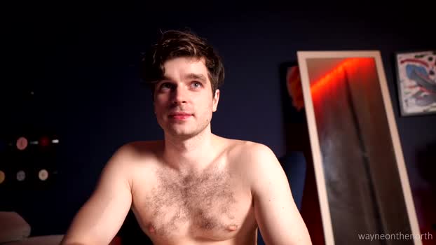 waynenorth 03-05-2025 video suckcock