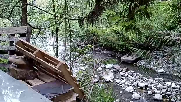 info_chat 05-05-2025 video hard