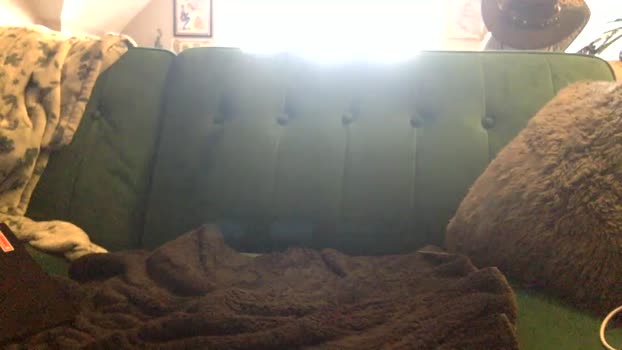 baldxbimbo 06-05-2025 video XXX