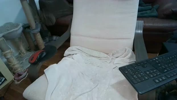 dickslayerdan 07-05-2025 video moan