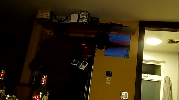 info_chat 10-05-2025 video ass