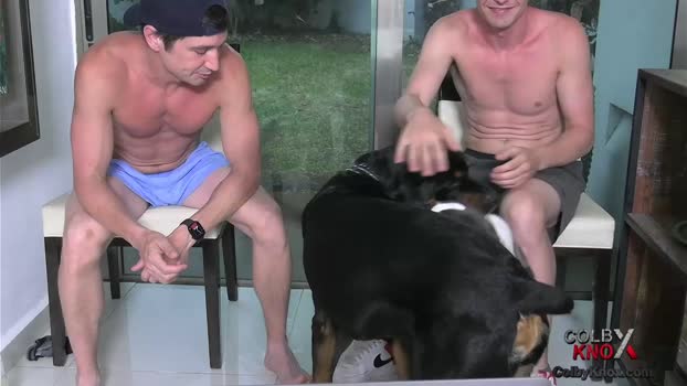 colbyknox 11-05-2025 video cute