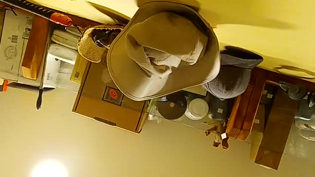 info_chat 11-05-2025 video kinky