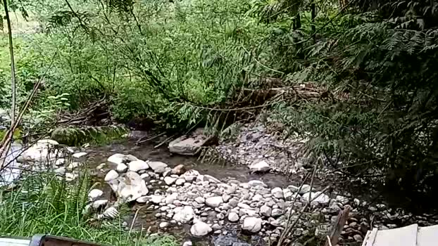 info_chat 11-05-2025 video jerkoff