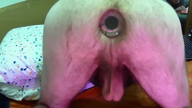 maxjr8008 11-05-2025 video analtoy