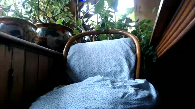 kaonashi69 17-05-2025 video moan
