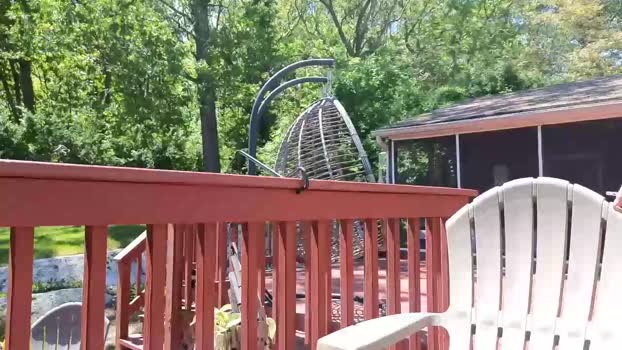 andyxb 19-05-2025 video Download