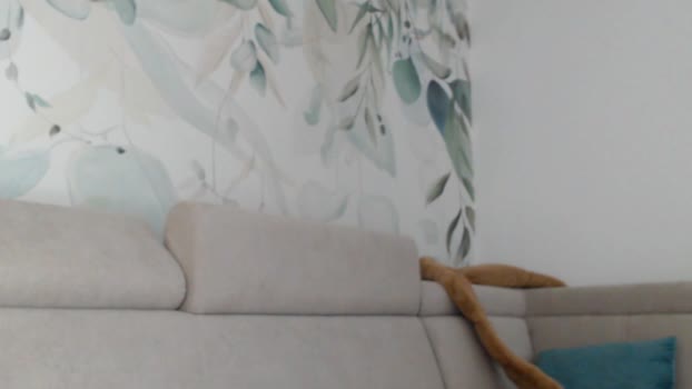 hornyasfuckk33 19-05-2025 video hot