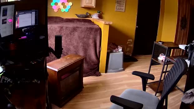 bedelllw 22-05-2025 video kink