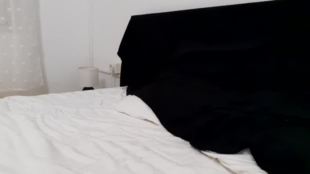 apollobest77 22-05-2025 video deepthroat