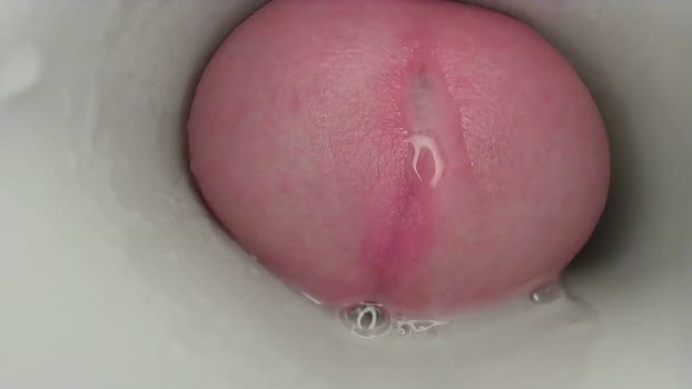 jeffrodgerschaturbat 24-05-2025 video jackoff