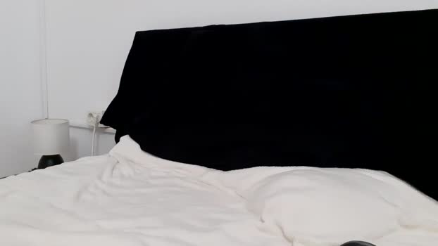 apollobest77 27-05-2025 video strip