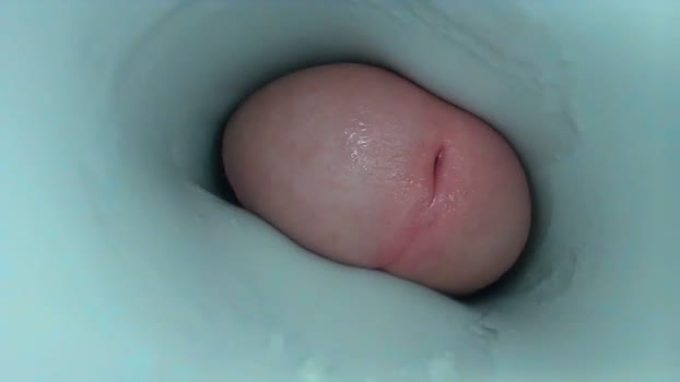 jeffrodgerschaturbat 27-05-2025 video Cam