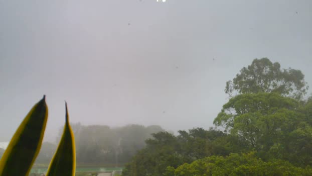 nixon347932 27-05-2025 video kissing