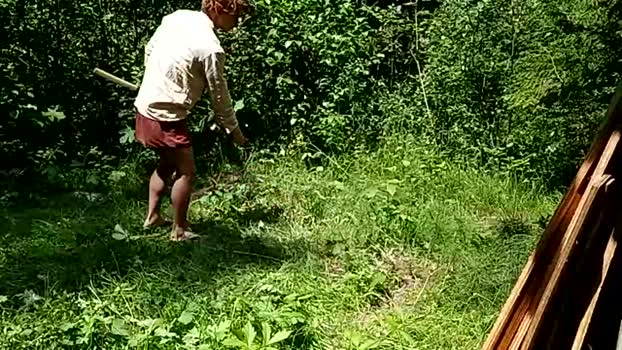 info_chat 01-06-2025 video bicurious