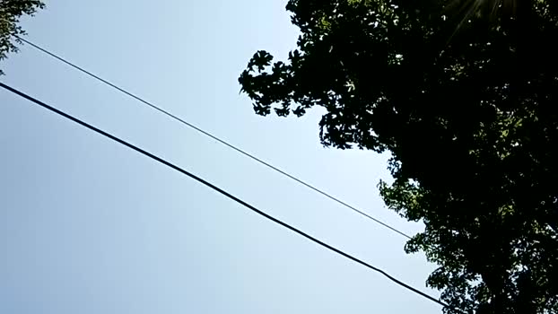 info_chat 02-06-2025 video lick