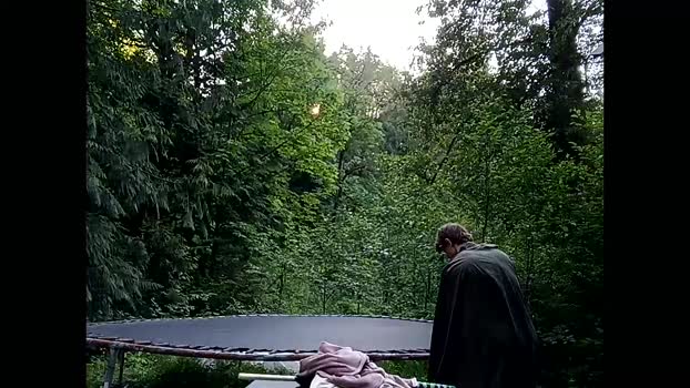 info_chat 02-06-2025 video cute