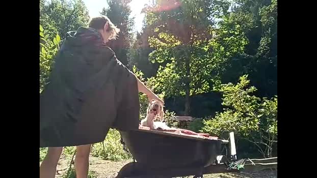 info_chat 02-06-2025 video big