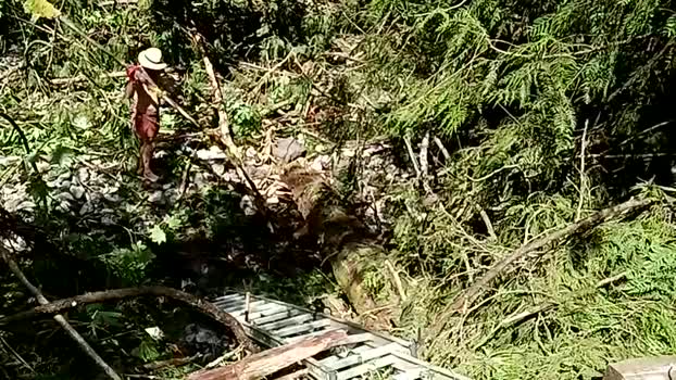 info_chat 04-06-2025 video Naked