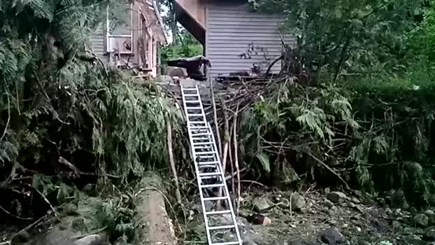 info_chat 05-06-2025 video jackoff