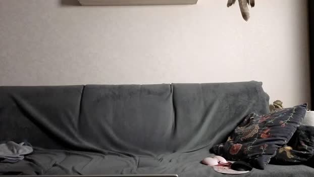 jastinpet 08-06-2025 video lush