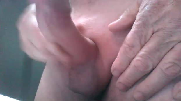 soft_big_bear<