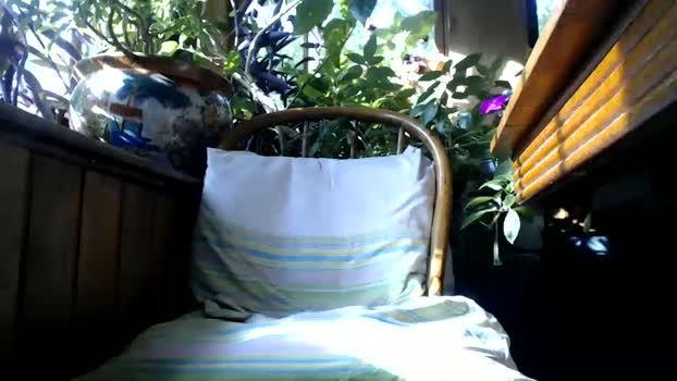 kaonashi69 11-06-2025 video lush