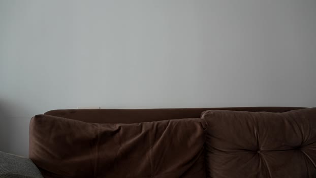 o_r_b_i_t 11-06-2025 video big