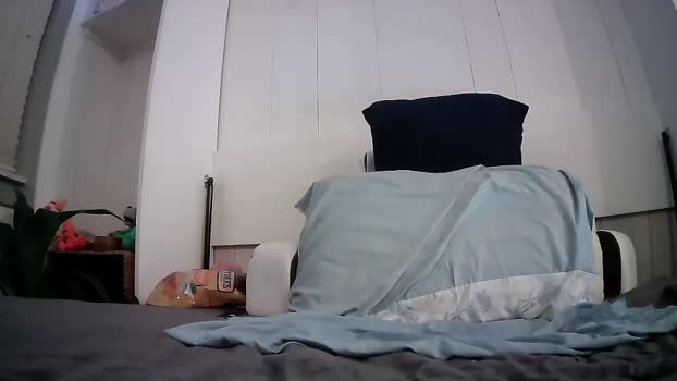 yankmyfrank 11-06-2025 video suckcock