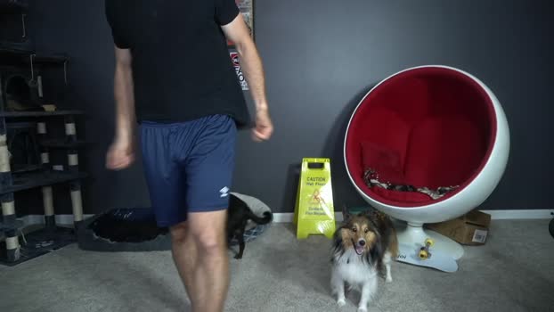 sydaffect 14-06-2025 video suckshow