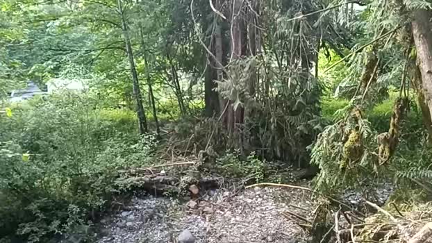 info_chat 17-06-2025 video sexyfeet