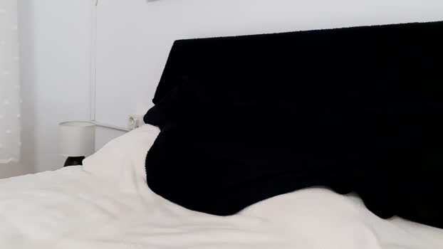 apollobest77 17-06-2025 video handsome