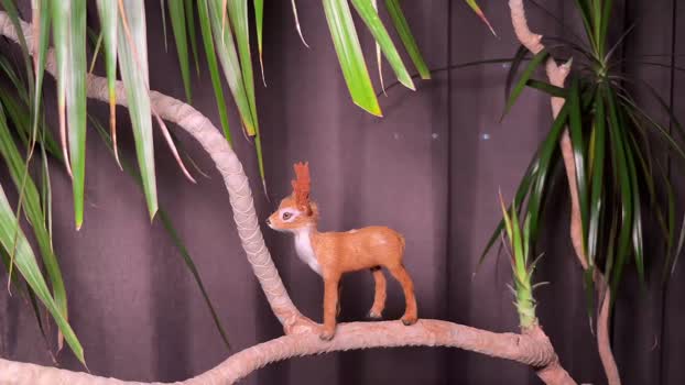 aronyou_win 20-06-2025 video jackoff