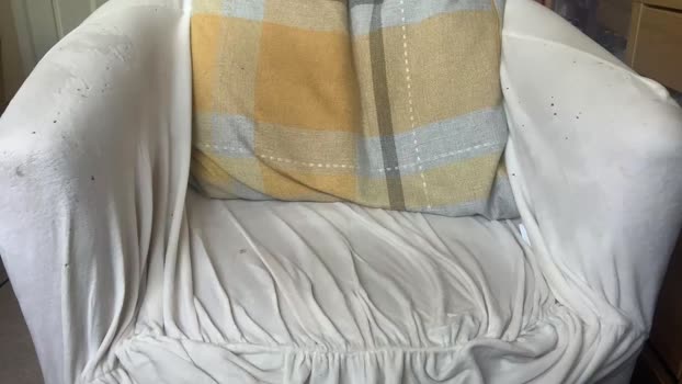 rio905 20-06-2025 video ass