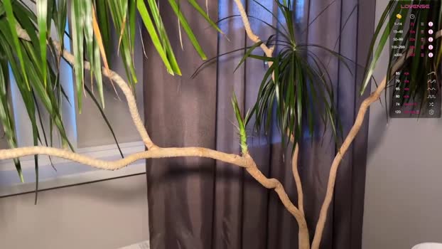 aronyou_win 25-06-2025 video big