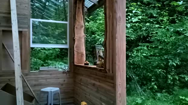 info_chat 27-06-2025 video bigass