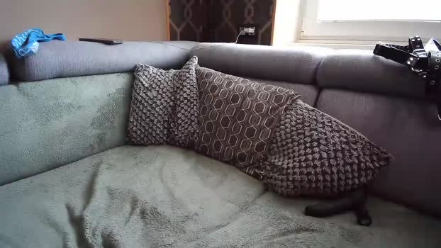 keasol 27-06-2025 video lovense