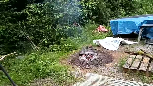 info_chat 28-06-2025 video naked