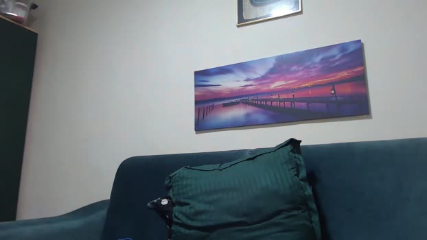 jodogs 28-06-2025 video jerking