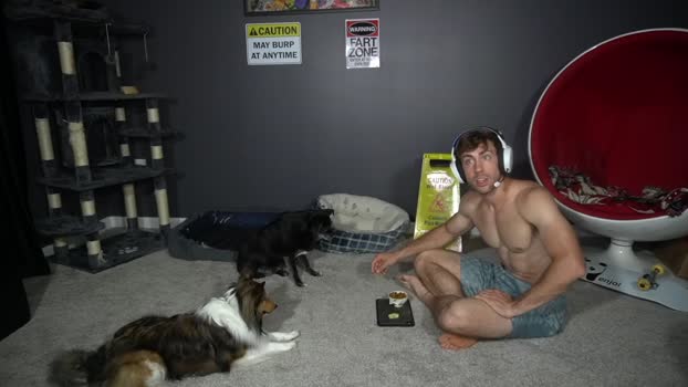 sydaffect 28-06-2025 video toys