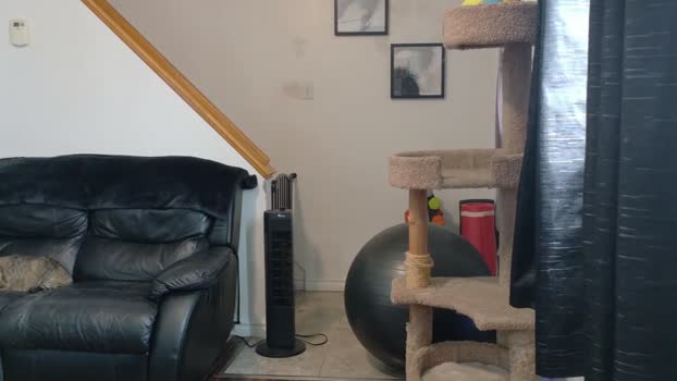 thekodyy 28-06-2025 video deep