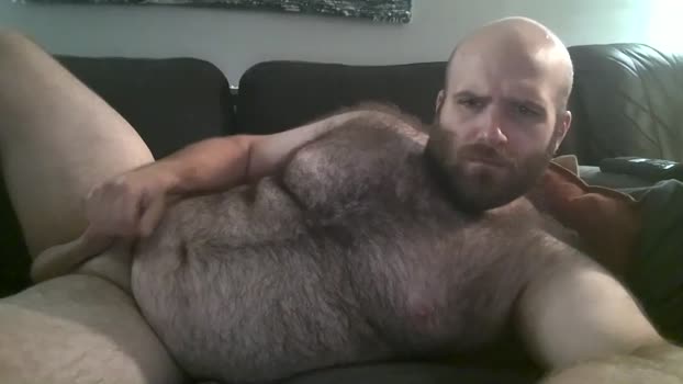 hairiestbear<